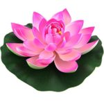 Flower illustration